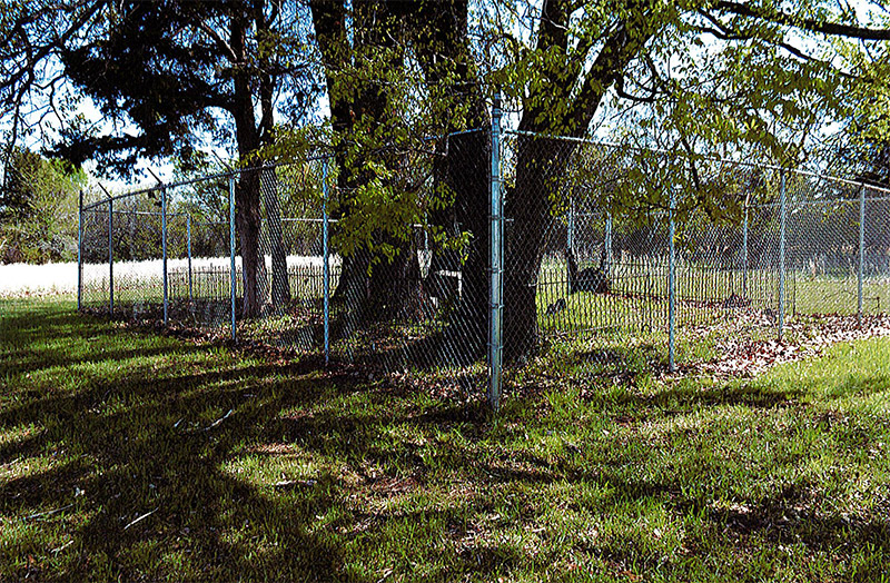Trees and gravestones inside fence with barbed wire