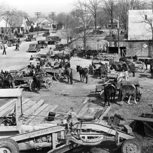 Horses and wagons crowding the street with houses in the background and construction equipment in the foreground