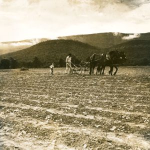 Farmer and boy using a horse drawn plow in a field with hills in the background