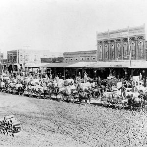 Wagons loaded with cotton crowding dirt road that runs in front of several buildings