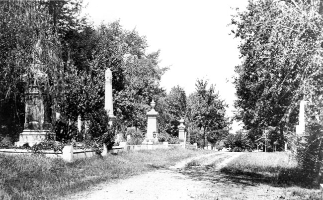 Rows of tall monuments and trees with cemetery road