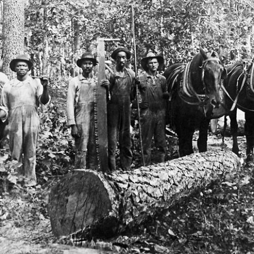 Timber Industry Encyclopedia of Arkansas