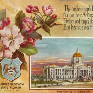 Apple Blossom flower and multistory building with large dome and text on post card
