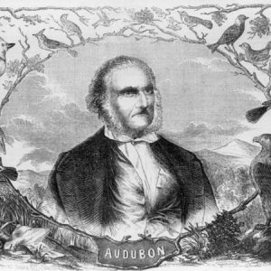 Old white man with sideburns surrounded by birds and plant life with the word "Audubon" in the center