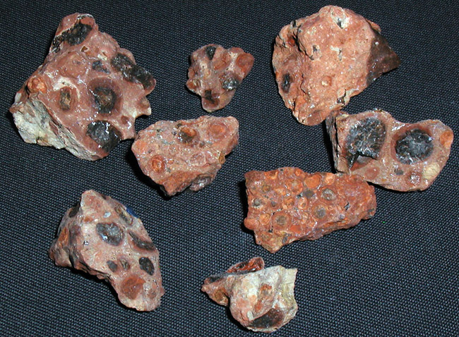 Eight rocks with various sized discolored dot impressions  photographed on dark fabric