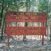 Wood slat sign painted red with yellow lettering in forest