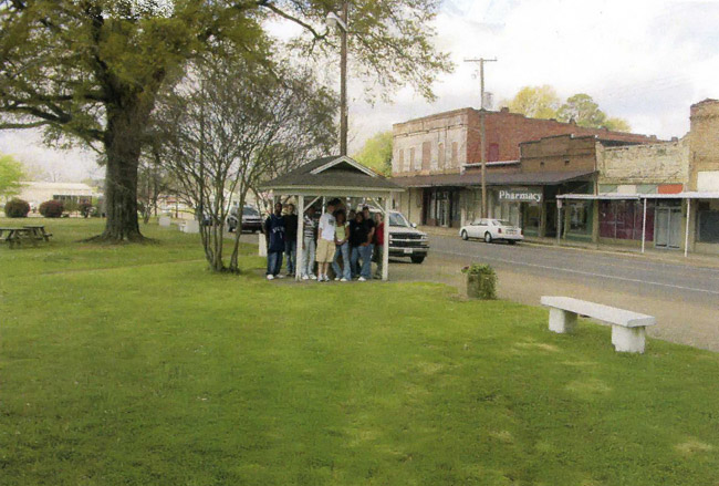 teenagers crowd beneath pavilion in grassy square, building-lined street in background