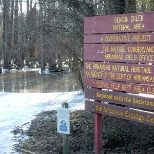 Wood slat sign painted red with yellow lettering in flooded swamp