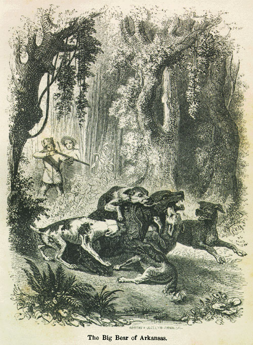 Illustration of hunting dogs attacking bear with hunters watching, one aiming a long gun