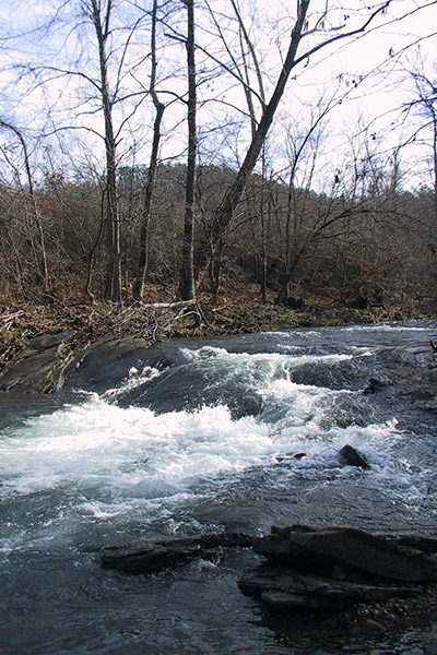 Rushing water rapids in creek with bald trees in background