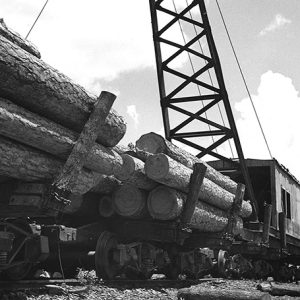Large logs on logging train with crane