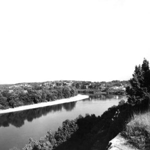 elevated view of river with trees