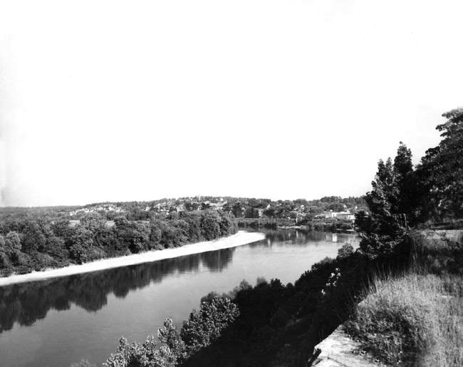 elevated view of river with trees