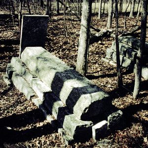 Graves in overgrown cemetery with limestone ledgers and tombstones