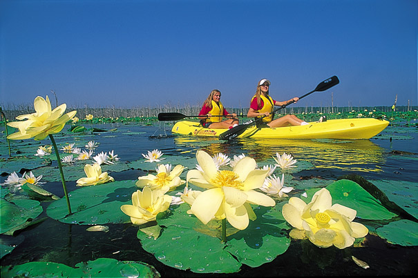 two white women kayaking amid some lily pads