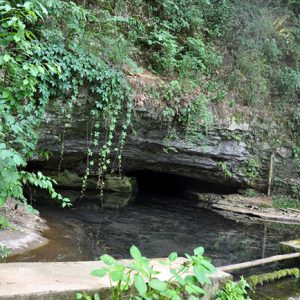 Cave pool and waterfall with green foliage