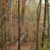 Wooden walkway bridge with railings on trail through wooded area under autumn trees