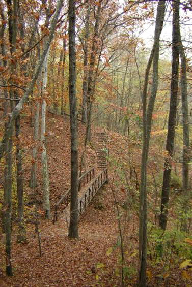 Wooden walkway bridge with railings on trail through wooded area under autumn trees