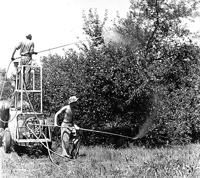 man standing on machine and shirtless white man on the ground spraying insecticide on trees