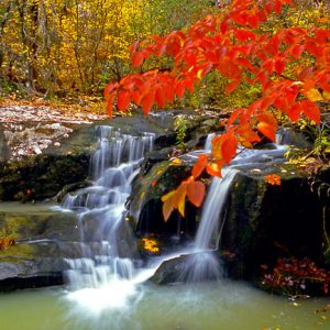 Waterfall and fall foliage with pool of water