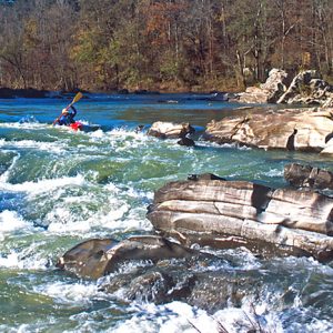 Man navigating river rapids in a kayak with trees lining the shore