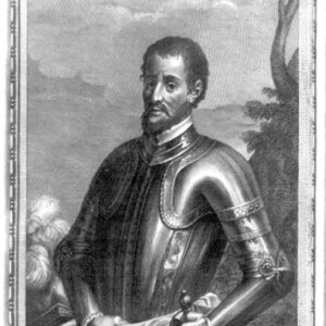 White man wearing a suit of armor with a sword