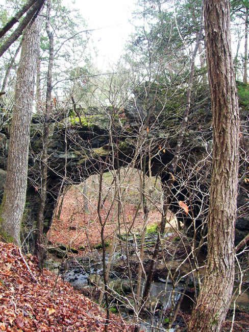tangled twigs and branches in front of natural rock bridge