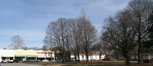 row of connected buildings with cars parked in front and several trees in green space across the street