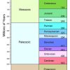 Multicolored "Geologic time scale" divided into time periods on white background