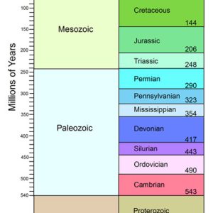Multicolored "Geologic time scale" divided into time periods on white background