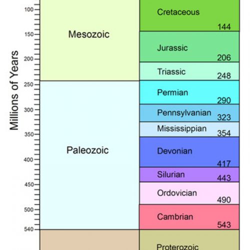 Fossils - Encyclopedia of Arkansas