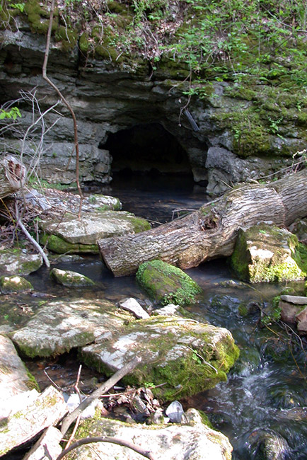 Fallen tree and rocks outside of cave entrance in rock wall