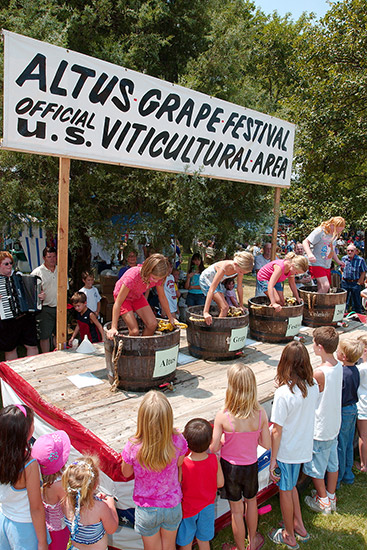 White children smashing grapes in wooden buckets on platform beneath sign "Altus Grape Festival" while other white children and adults watch them
