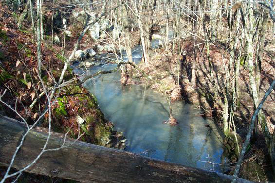Creek flowing through forested area