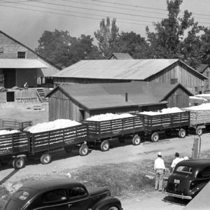 Two white men standing by cars watching carts loaded lined up in front of a complex of wooden buildings with trees in the background