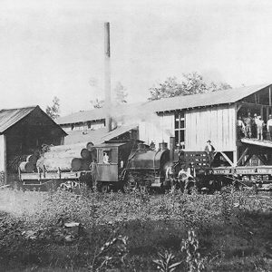 Workers and steam train hauling logs at lumber mill