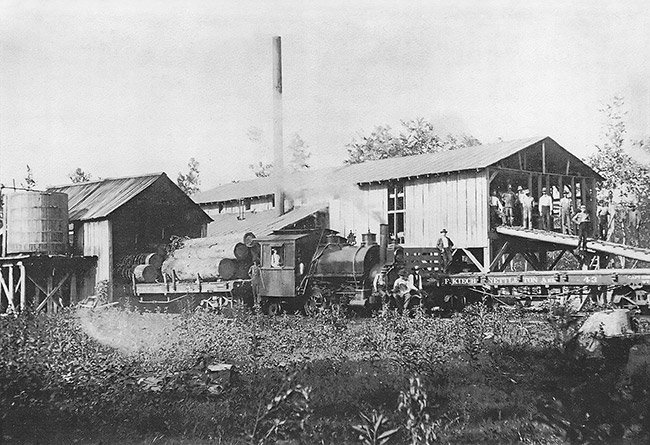 Workers and steam train hauling logs at lumber mill