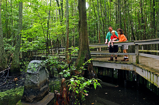 White family on wooden walking path in swamp looking down at a stone monument