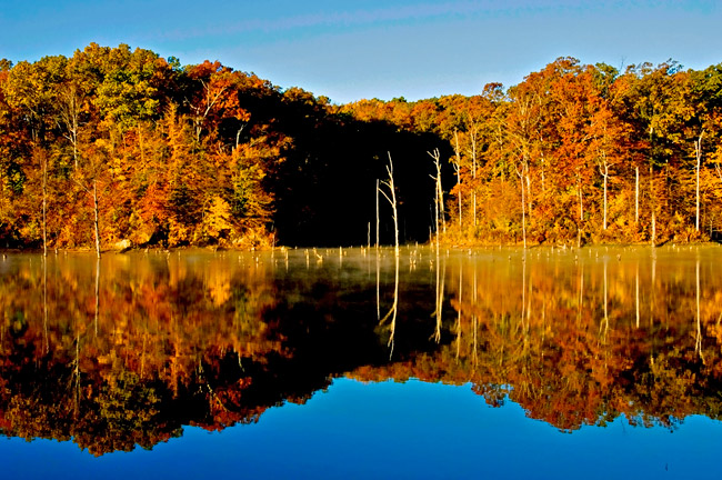 Autumn trees reflected in lake under blue skies
