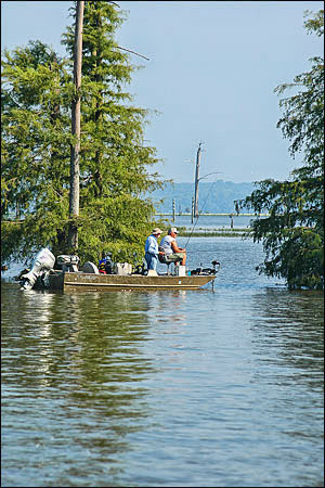 two men fishing from a boat in a lake with cypress trees