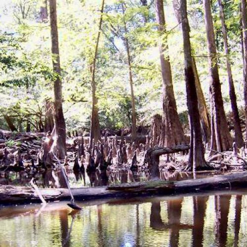 Cleveland County Encyclopedia of Arkansas