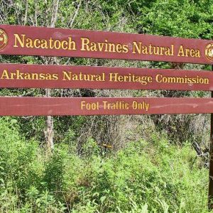 "Nacatoch Ravines Natural Area Arkansas Natural Heritage Commission" wooden sign