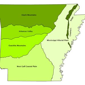 Map showing natural divisions of Arkansas in shades of green