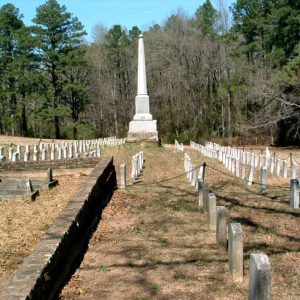 cemetery with tall monument at center and forest in the background
