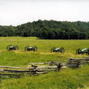 Four cannons in field by split rail fence with forest beyond