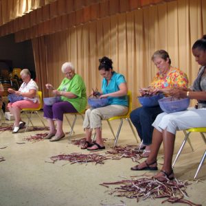 Row of women shelling purple hull peas seated on plastic chairs stage curtains in background