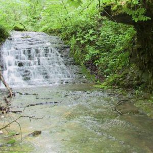 Stepped waterfall and stream with green foliage in forest