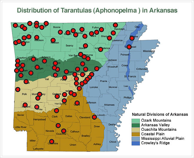 Multicolored map of Arkansas with red dots "Distribution of Tarantulas in Arkansas"