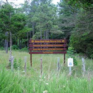 "Stone Road Glade Natural Area Arkansas Natural Heritage Commission" sign in overgrown field with trees