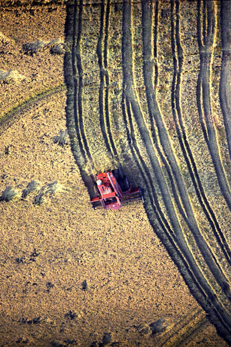 Aerial view directly over harvester cutting wavy stripes through farm field